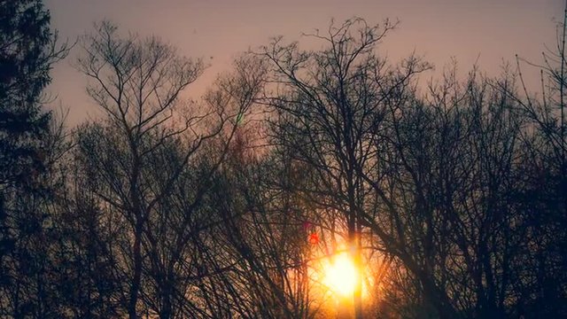 Timelapse of the sunset behind the trees in autumn, Austria
