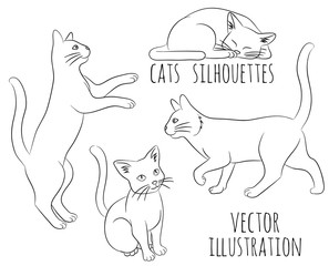 Outline silhouettes of cats. Vector illustration.