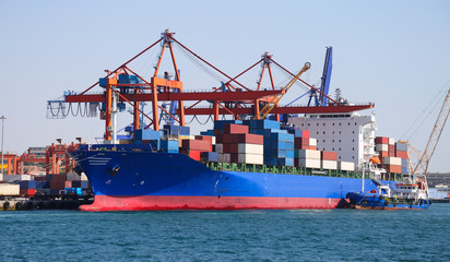 Fototapeta premium Container Ship is loading in a port