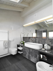 Interior view of a modern bathroom