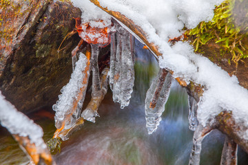 beautiful icicles