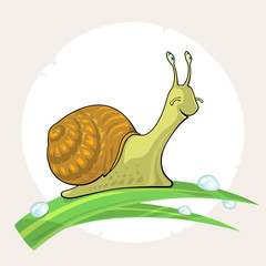 Cute cartoon Snail on grass