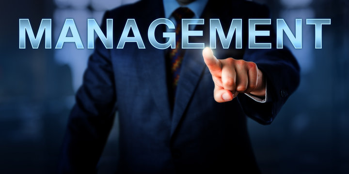 White Collar Professional Pointing At MANAGEMENT