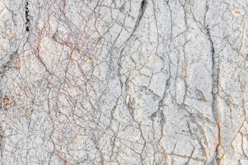 White texture of sea stone texture