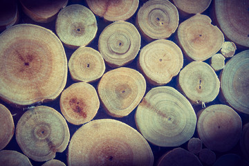 wood with annual rings