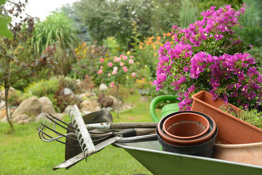 「451」の画像 274 件の Stock 写真、ベクターおよびビデオ Adobe Stock