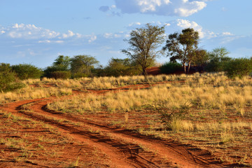 The Kalahari desert, Namibia