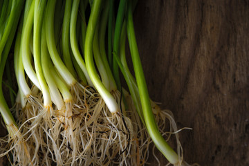 Green onion stalks and roots on a wooden table