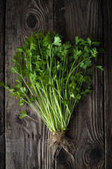 Green celery with roots on a wooden table