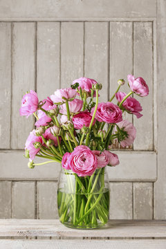 Pink persian buttercup flowers (ranunculus) on wood