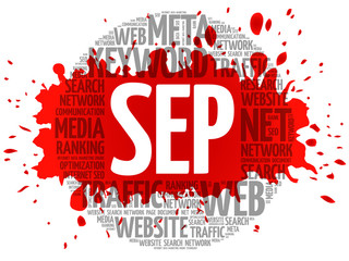SEP - Search Engine Positioning word cloud, business concept