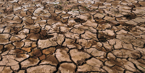 Dry grunge land background.