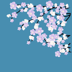 Blossoming tree branch on the blue background