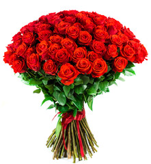 bouquet de 101 rose rouge vif sur fond blanc