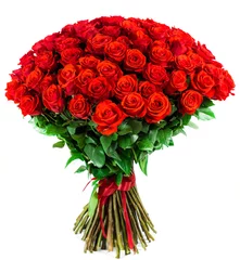 Poster de jardin Roses bouquet de 101 rose rouge vif sur fond blanc