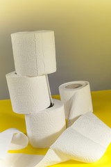 Rolls of toilet paper