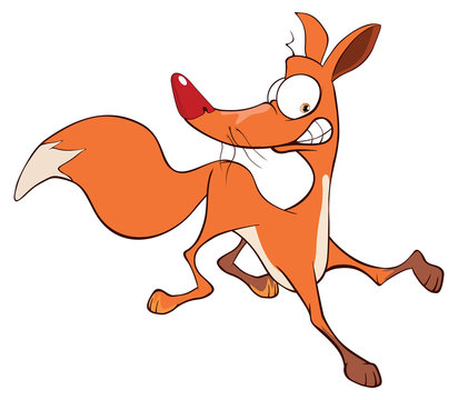 Young fox cartoon