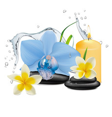 Orchid, Plumeria flowers, water splash and zen stone. Vector illustration