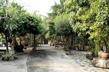 Fototapeta premium Thai garden