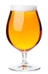 Tulip glass of pilsener beer isolated