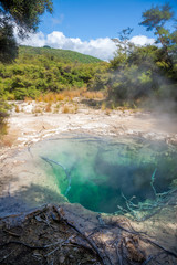 Hot pool at Tokaanu Thermal Area in New Zealand