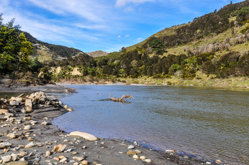 Fototapeta na wymiar Riverside view in Whanganui National Park, New Zealand