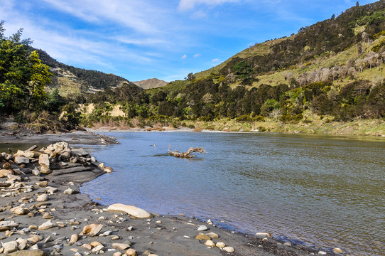 Riverside view in Whanganui National Park, New Zealand
