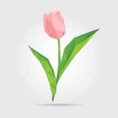 Polygonal Flower Tulip. Pink Tulip in Vector
