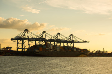 Port container terminal