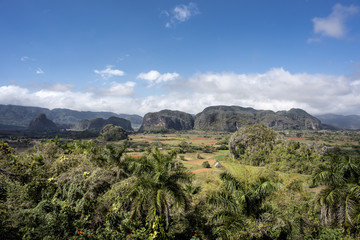 Fototapeta na wymiar Kuba, Westkuba, Valle de Vinales, Mogotes: Panorama Blick mit berühmten Bergen, Landschaft, Palmen und Bergen