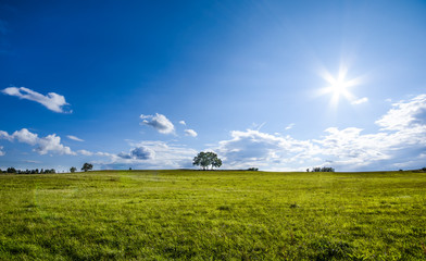 Obraz premium piękny krajobraz z samotnym drzewem, chmurami i błękitnym niebem, wersja w naturalnych kolorach