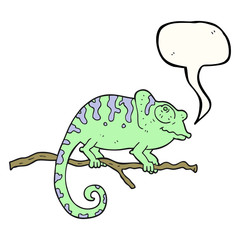 speech bubble cartoon chameleon