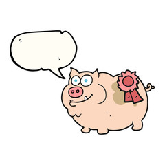 speech bubble cartoon prize winning pig