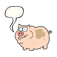 speech bubble cartoon pig
