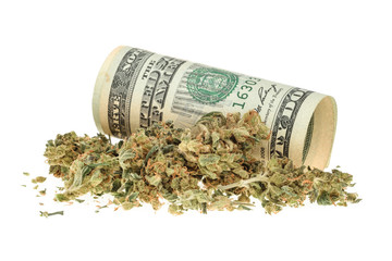 Marijuana and money isolated on white