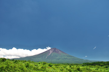 Fototapeta premium 夏の富士山