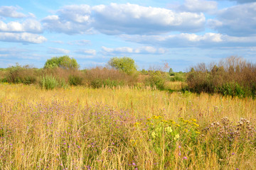 Obraz premium Summer field, Belarus.