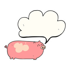 speech bubble cartoon pig