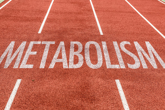 Metabolism written on running track