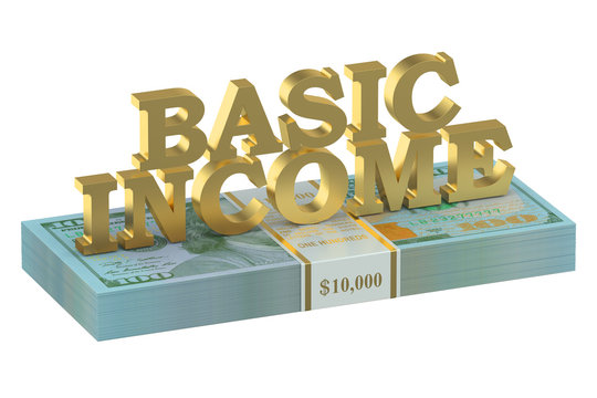 Usa Basic Income Concept