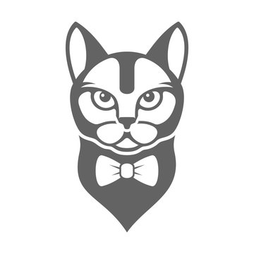 Portrait of Hipster Cat with Bow Tie Isolated on White Background. Vector
