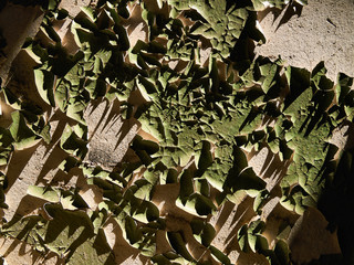 Flaked green paint