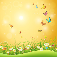 Fototapeta na wymiar Spring or summer flowers, green grass and butterflies, nature background