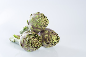 Obraz premium artichoke