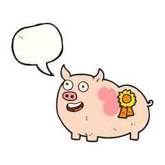 speech bubble cartoon prize winning pig