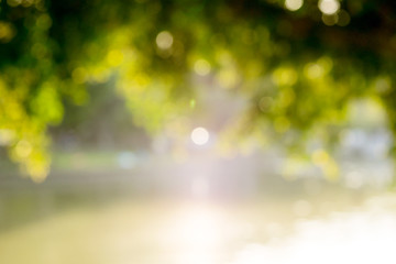 Green Leaf and river effect sunlight Blur Background