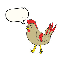 speech bubble cartoon chicken