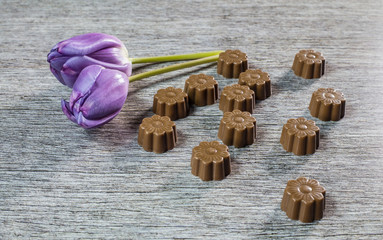 Some chocolates still life