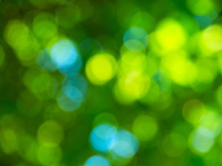 Obraz premium Natural blurred background.