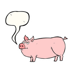 speech bubble cartoon huge pig